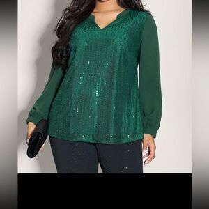 Shimmery Sequin Notched Collar Blouse